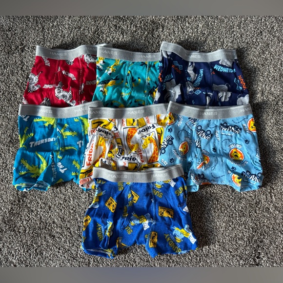 Hanes Other - Hanes Boys' Underwear Set - Days of the Week Animal Theme NWOT
